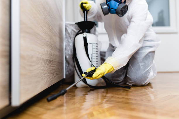 Best Local Pest Control Services  in Racend, LA