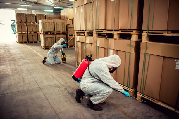 Best Pest Prevention Services  in Racend, LA