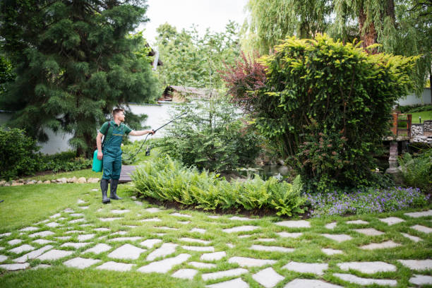 Best Pest Removal Services  in Racend, LA