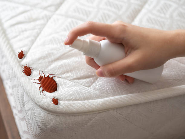 Best Pest Control for Restaurants  in Racend, LA
