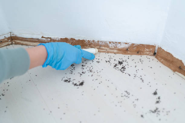 Pest Prevention Services in Raceland, LA