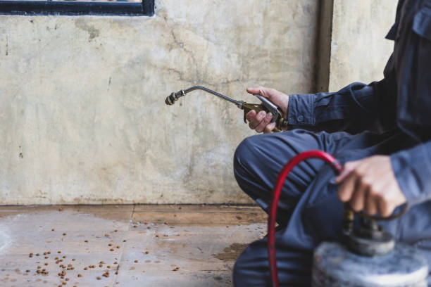 Pest Control for Restaurants in Raceland, LA